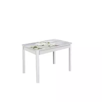 Стол раздвижной «Триумф», 870(1170) 600 750 мм, опоры массив, цвет белый / 443439742