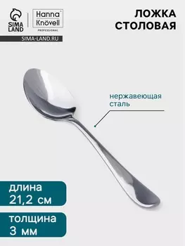 Столовая ложка Hanna Knvell Hertel, 21.2 см, толщина 3 мм, нержавеющая сталь, серебристая