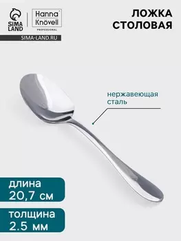 Столовая ложка Hanna Knvell Svartan, 20.7 см, толщина 2.5 мм, нержавеющая сталь, серебристая