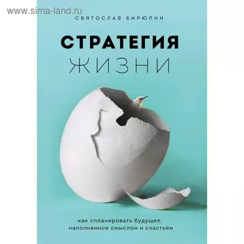 Стратегия жизни. Как спланировать будущее, наполненное смыслом и счастьем, Бирюлин С.
