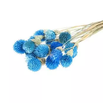 Сухоцвет «Гомфрена шаровидная» набор 20 шт., цвет голубой