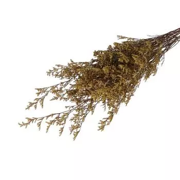 Сухоцвет «Кермек» 130 г, цвет бежевый