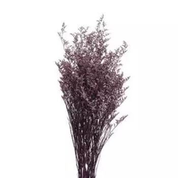 Сухоцвет «Кермек» 130 г, цвет фиолетовый