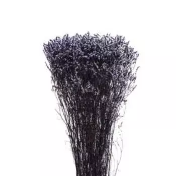 Сухоцвет «Лимониум» 120 г, цвет фиолетовый