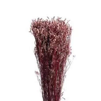 Сухоцвет «Лимониум» 120 г, цвет пудрово розовый