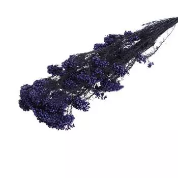 Сухоцвет «Озотамнус» 60 г, цвет фиолетовый