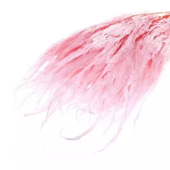 Сухоцвет «Ситник», розовый, 15 шт. в упаковке