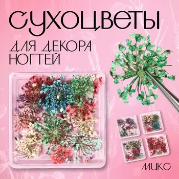 Сухоцветы для декора «Яркость», в футляре, МИКС