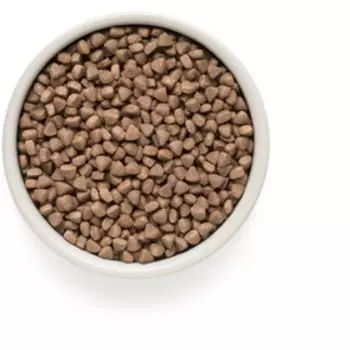 Сухой корм Grandorf для кошек, белая рыба/индейка, низкозерновой, 2 кг