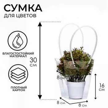 Сумка для цветов прозрачная влагостойкая, 168 - 88 - 16 см