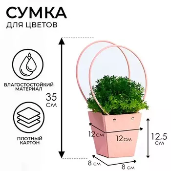 Сумка для цветов тиснение пудра влагостойкая, 1212 - 88 - 12.5 см