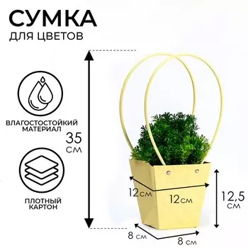Сумка для цветов тиснение шампань влагостойкая, 1212 - 88 - 12.5 см