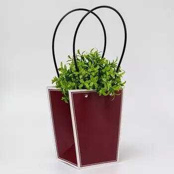 Сумка для цветов винная влагостойкая, 1717 - 11.511.5 - 20 см 5