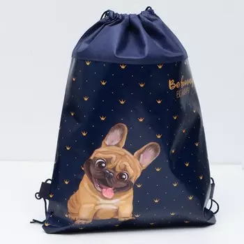 Мешок для обуви «Мопсик» (полиэстер) 4130 см