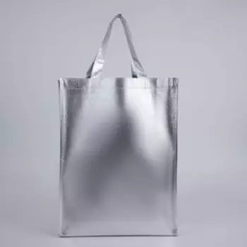 Сумка из спанбонда «Стиль» без молнии, без подкладки, цвет серебристый