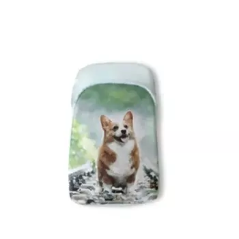 Сумка кросс-боди, отдел на молнии, цвет белый "Корги"