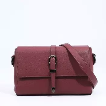 Сумка женская мессенджер на магнитах, 241015 см, пудровая