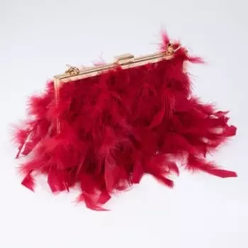 Сумка на фермуаре, цвет красный