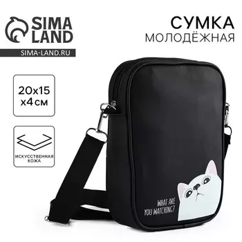 Сумка на ремешке «Что смотришь?», 15521 см