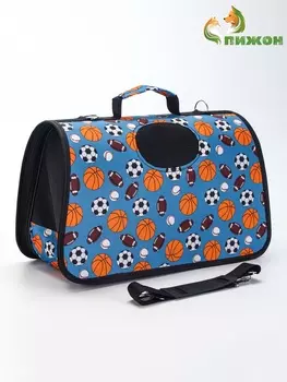 Сумка - переноска для животных «Спорт», размер M, 402127 см, голубая