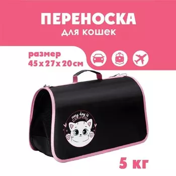 Сумка - переноска раскладная CATurday! 45х27х20 см