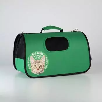 Сумка - переноска раскладная, каркасная «Котодруг» 43x20x27 см