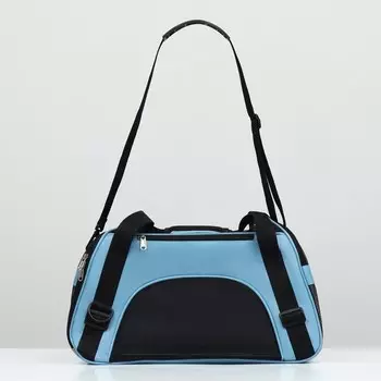 Сумка-переноска сетчатая,532634 см, голубая