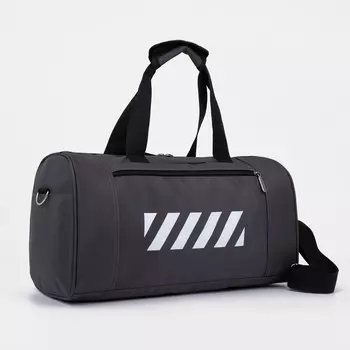 Сумка спортивная на молнии, цвет серый