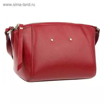 Сумка женская, гранат, 185x130x110