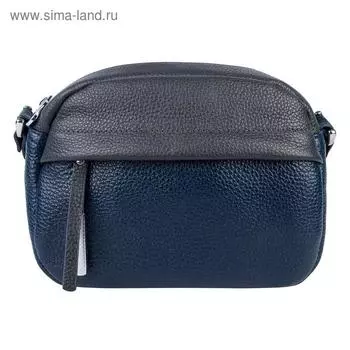 Сумка женская, отдел на молнии, цвет синий