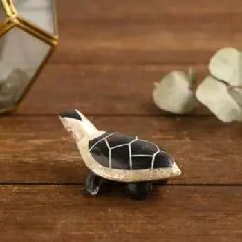 Сувенир из ракушки "Черепашка" 8х5,5х2,5 см
