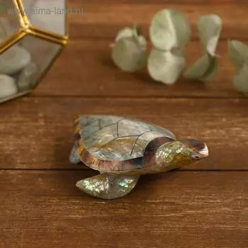 Сувенир из ракушки "Кристальная черепашка" 12х7х4 см