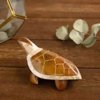 Сувенир из ракушки "Медовая черепашка" 14х10х5 см