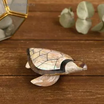 Сувенир из ракушки "Светлая черепашка" 12х7х4 см