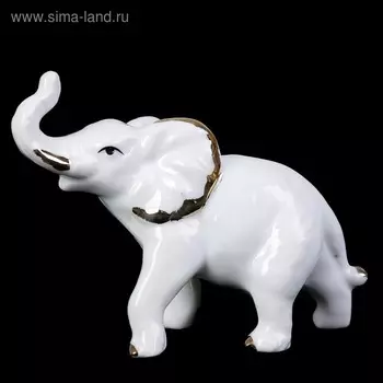 Сувенир керамика "Белый слон с золотыми бивнями" 5,7х8х3 см