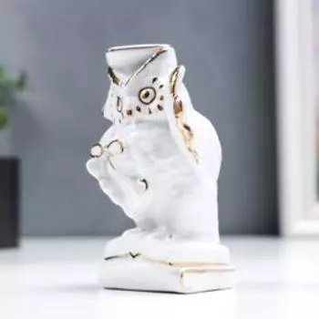 Сувенир керамика "Мудрый филин с пенсне, на книгах" белый с золотом 12 см