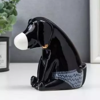 Сувенир керамика "Пёсик в трусиках" чёрный 11х6,7х12,6 см