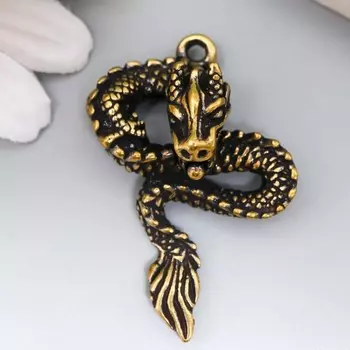 Сувенир латунь "Китайский дракон" 4,3х3,1 см