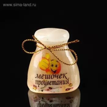 Сувенир «Мешочек процветания», большой, селенит