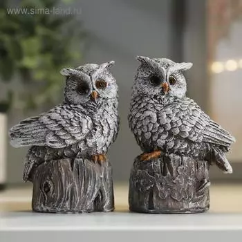 Фигурка полистоун «Филин на пеньке», 975 см, МИКС