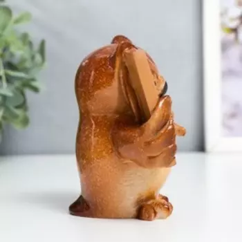 Сувенир полистоун лак "Филин - Учитель" 9,5х6,5х9 см