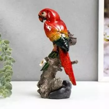 Сувенир полистоун лак "Красный попугай Ара на дереве" 21х10,5х8 см