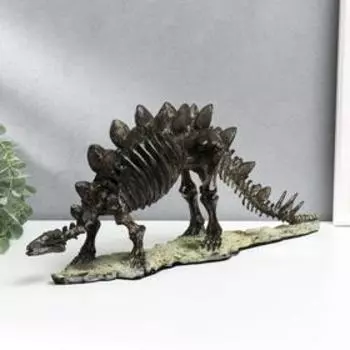 Сувенир полистоун "Скелет стегозавра" 20х51х11 см