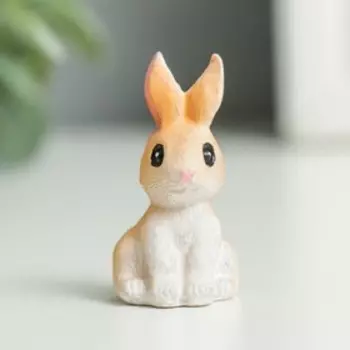 Сувенир полистоун "Зайчик - малютка" МИКС 2,5х2х3 см