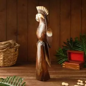 Сувенир "Попугай" дерево 12х8х50 см