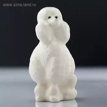 Сувенир собачка «Пудель», МИКС