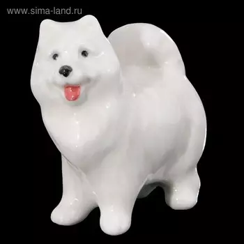 Сувенир собачка «Самоед»