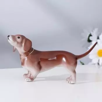 Сувенир "Такса", фарфор