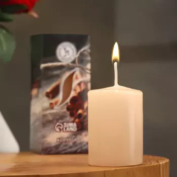 Свеча ароматическая "Корица", 46 см, в коробке