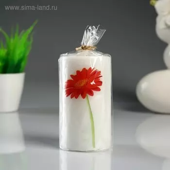 Свеча- цилиндр "Гербера" белая, с декором, 6×10 см